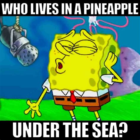 spongebob song meme|funny memes of spongebob.